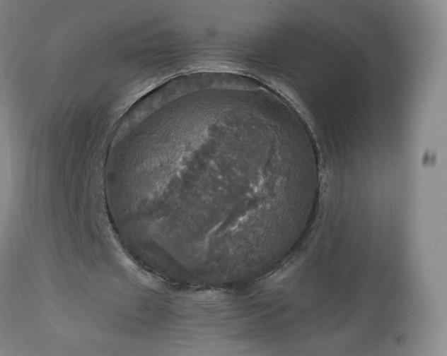 X0000112970433200909031049