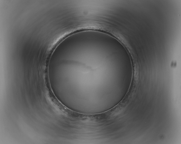 X0000112970434200909031049