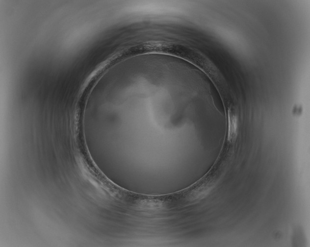 X0000112970435200909031049