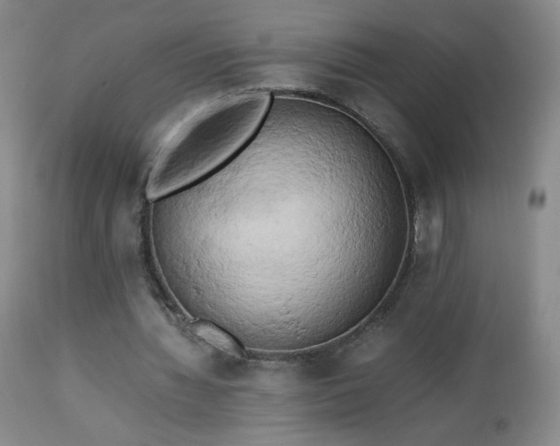 X0000112970436200909031049