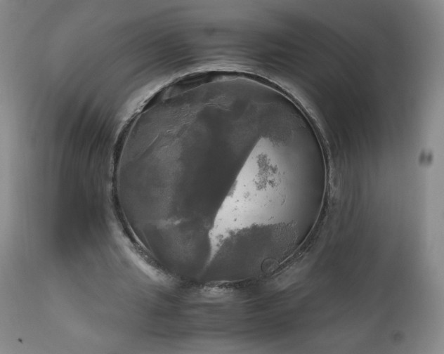 X0000112970437200909031049