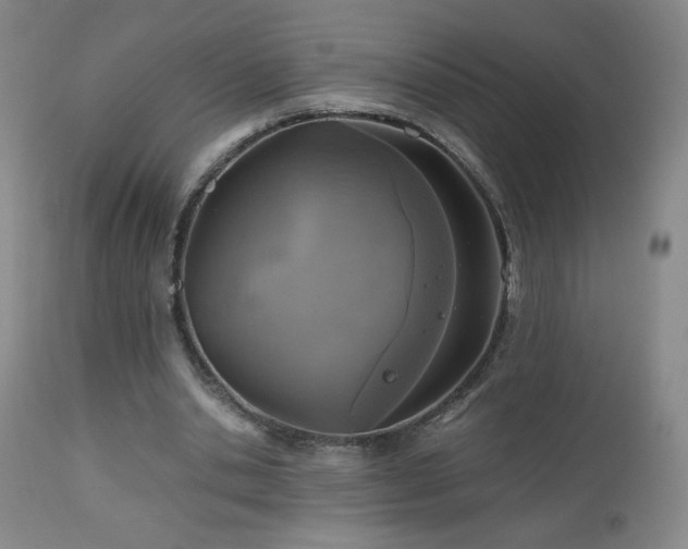 X0000112970438200909031049