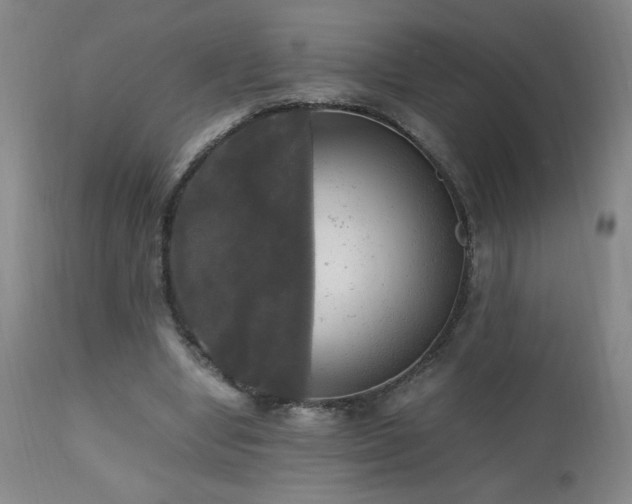 X0000112970442200909031049