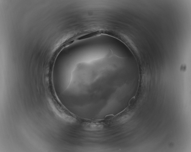 X0000112970443200909031049