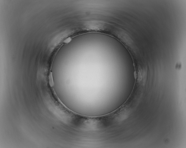 X0000112970444200909031049