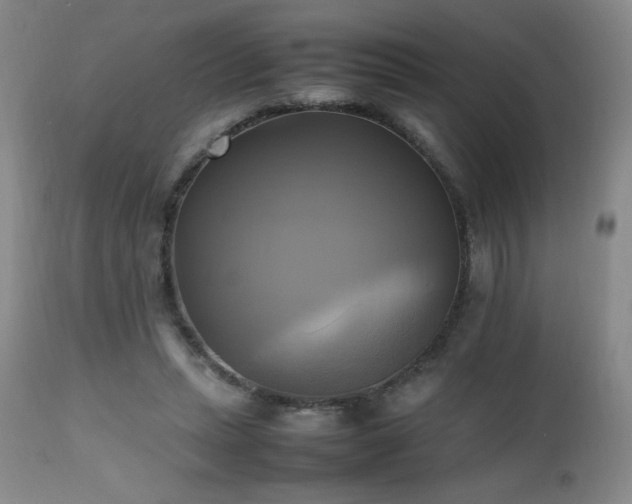 X0000112970447200909031049