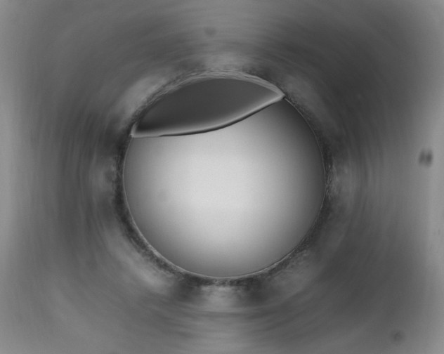 X0000112970448200909031049