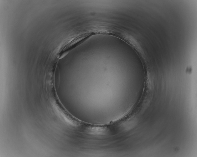 X0000112970449200909031049