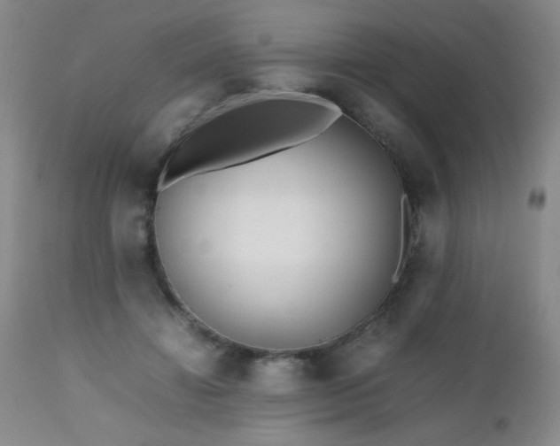 X0000112970452200909031049