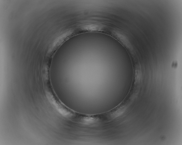 X0000112970453200909031049