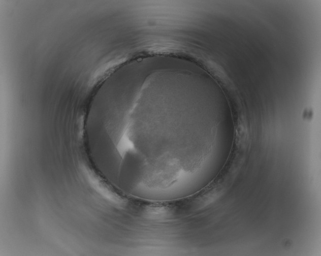 X0000112970454200909031049