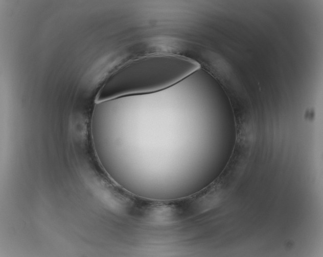 X0000112970456200909031049