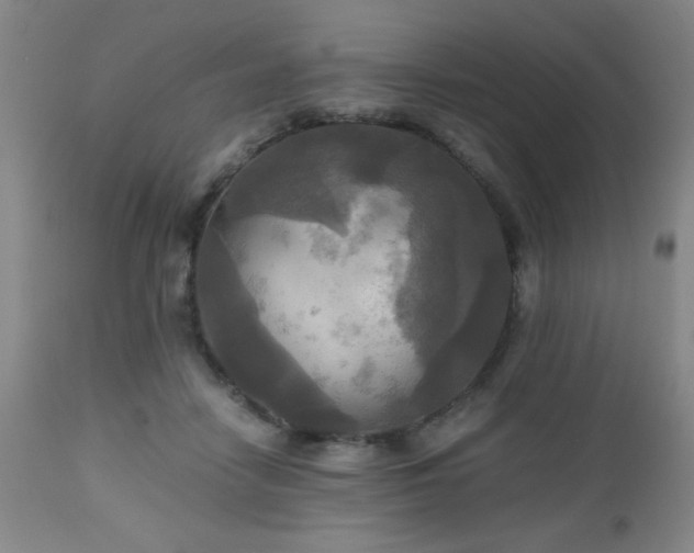 X0000112970458200909031049