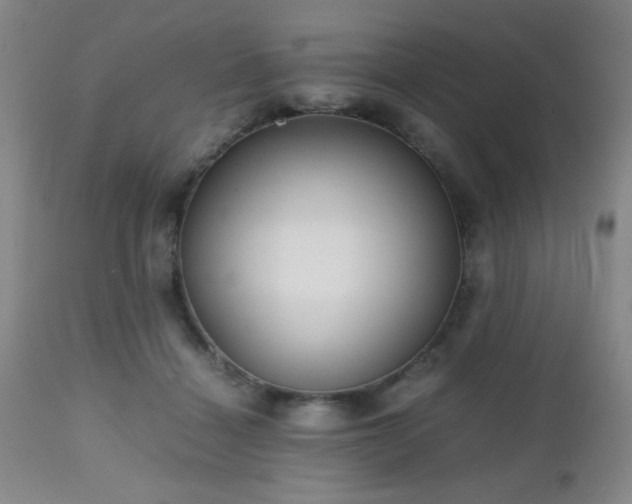 X0000112970460200909031049