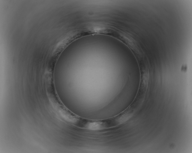 X0000112970461200909031049