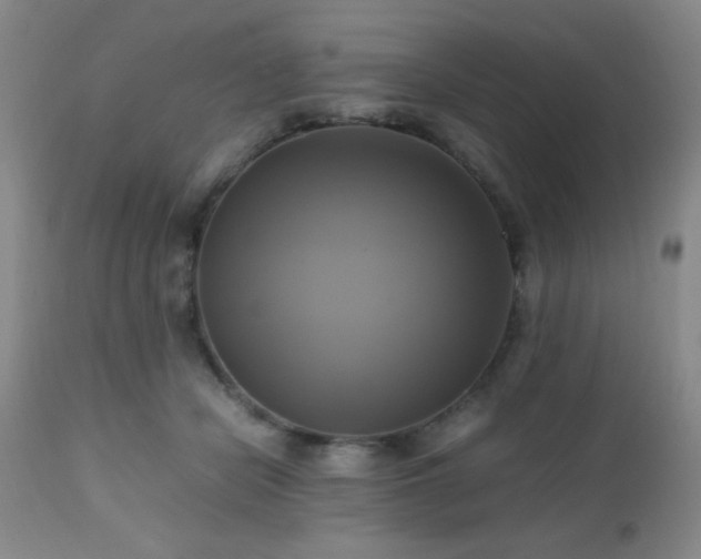 X0000112970462200909031049