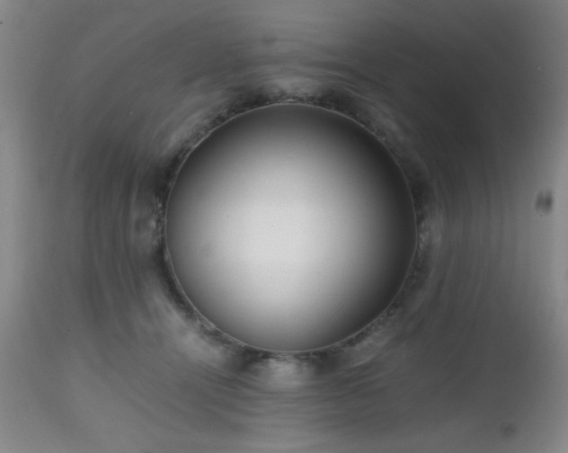 X0000112970464200909031049