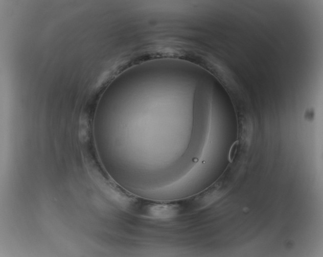 X0000112970465200909031049