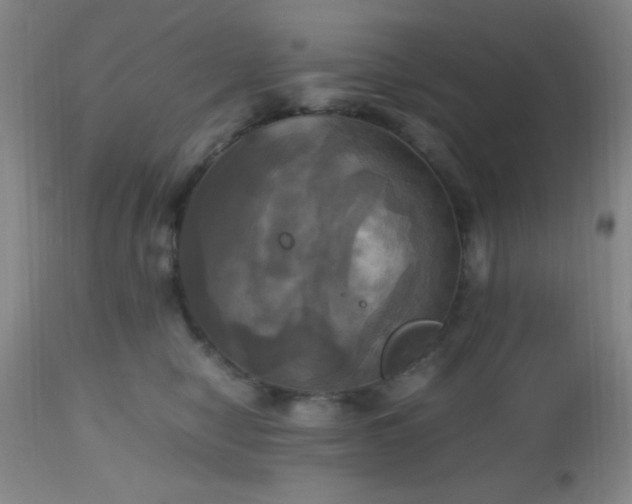 X0000112970470200909031050