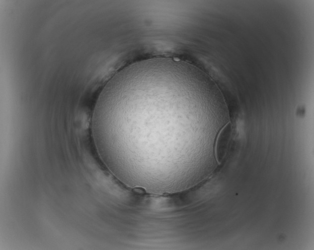 X0000112970472200909031050