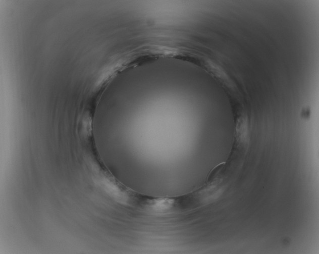 X0000112970474200909031050