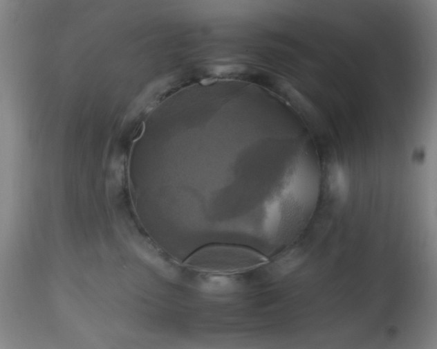 X0000112970475200909031050