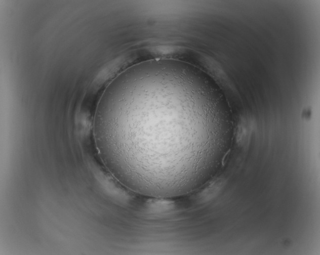 X0000112970476200909031050