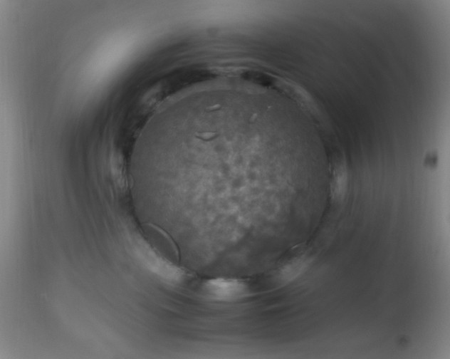 X0000112970477200909031050