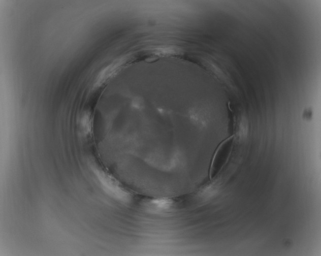 X0000112970478200909031050