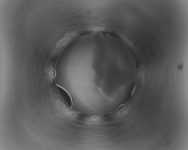 X0000112970479200909031050