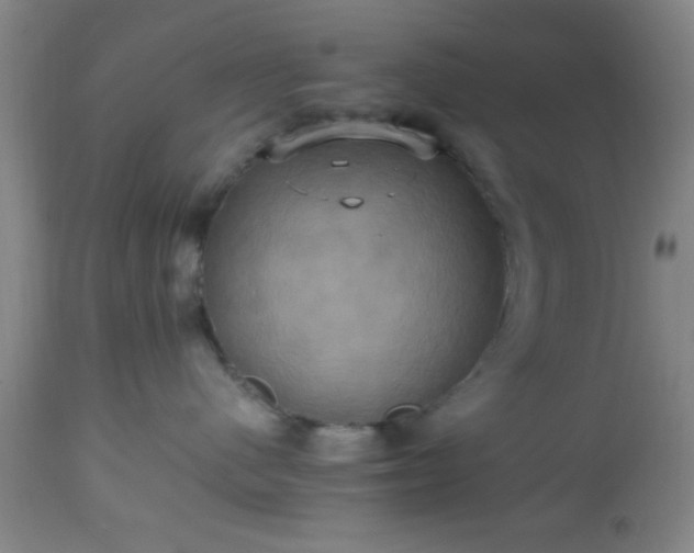 X0000112970480200909031050