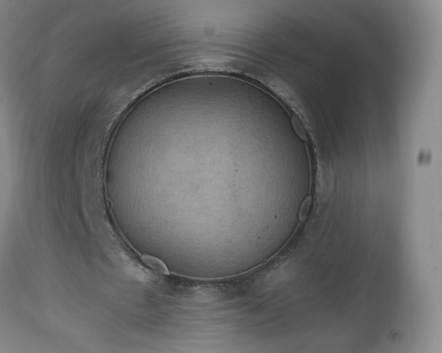 X0000112970481200909031049