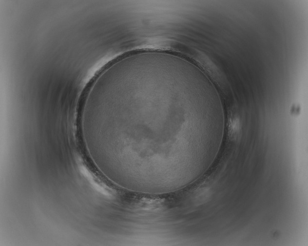 X0000112970484200909031049