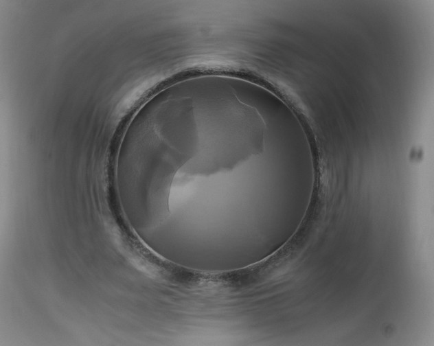 X0000112970487200909031049