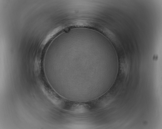 X0000112970488200909031049