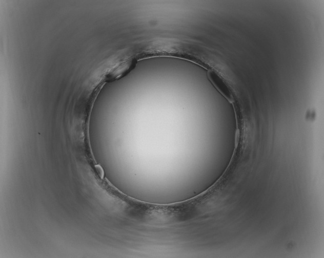 X0000112970489200909031049