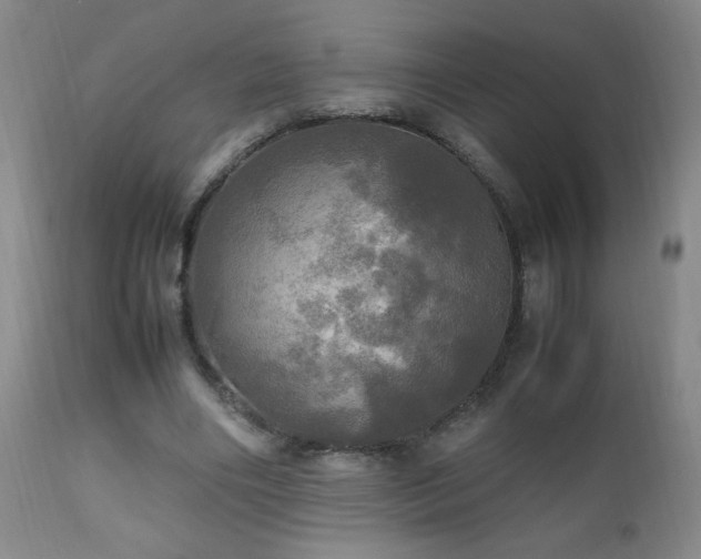 X0000112970490200909031049