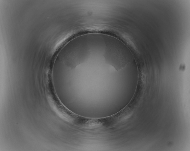 X0000112970491200909031049