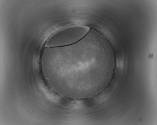 X0000112970492200909031049