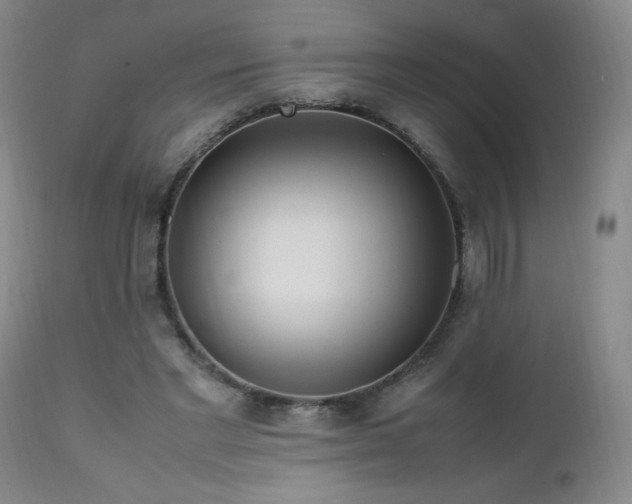 X0000112970493200909031049