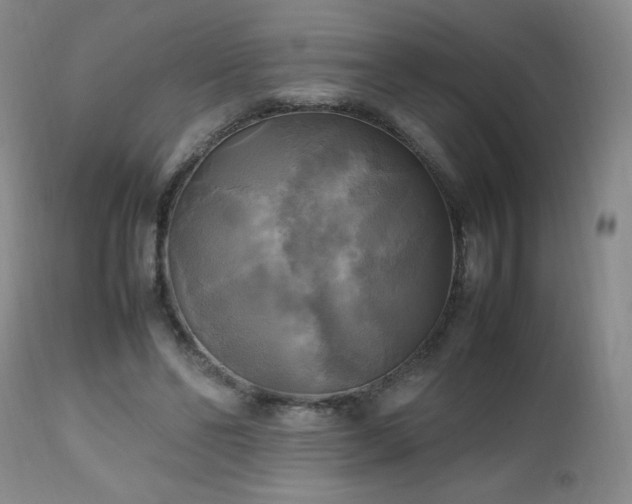 X0000112970494200909031049