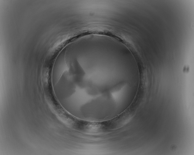 X0000112970495200909031049