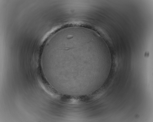 X0000112970496200909031049