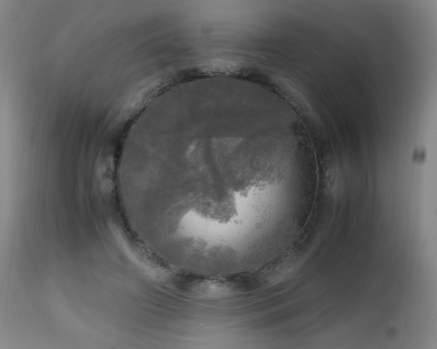 X0000112970498200909031049