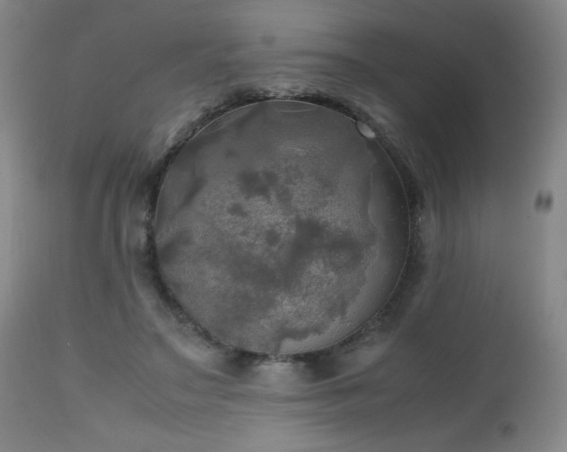 X0000112970499200909031049