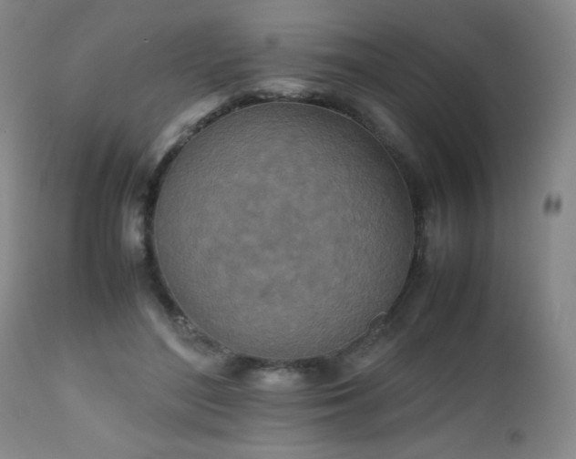 X0000112970500200909031049