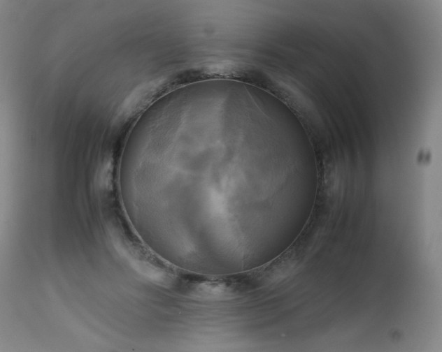 X0000112970502200909031049