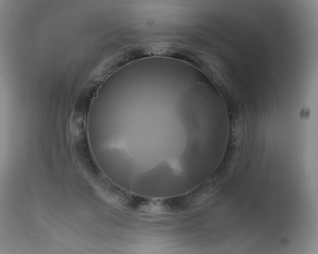 X0000112970503200909031049