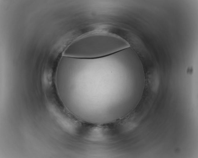 X0000112970504200909031049