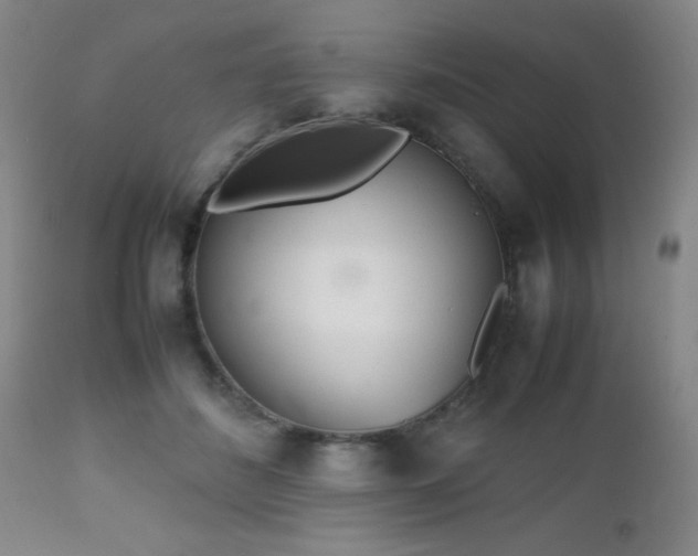 X0000112970508200909031049